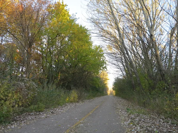 El sol comienza a ponerse a lo largo de Bike Path en la fábrica de zapatos Forest Preserve con árboles de otoño cambiando de color — Foto de Stock