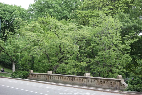 Steinerne Straßenbrücke im Central Park mit frühlingshaftem Baumwachstum — Stockfoto