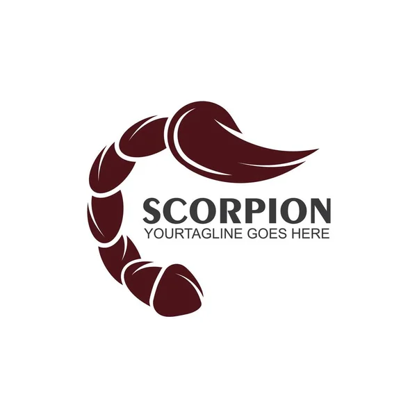 Скорпіон Векторні Ілюстрації Шаблон Дизайну Ілюстрації — стоковий вектор