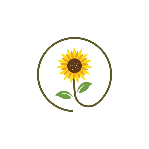 Sonnenblume Symbol Vektor Illustration Design Vorlage — Stockvektor