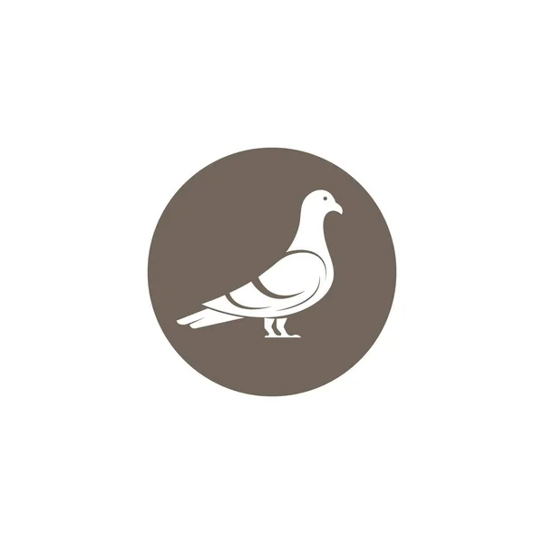 Pigeon Icône Vectoriel Illustration Conception Modèle Web — Image vectorielle