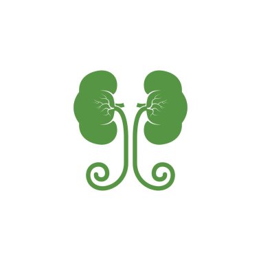 Böbrek simgesi vektör çizim şablonu