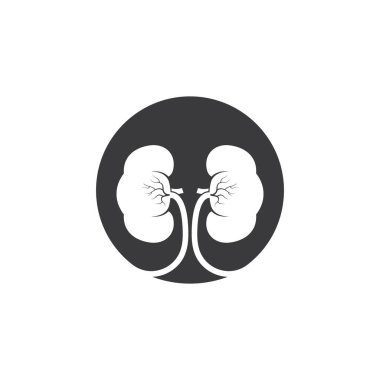 Böbrek simgesi vektör çizim şablonu