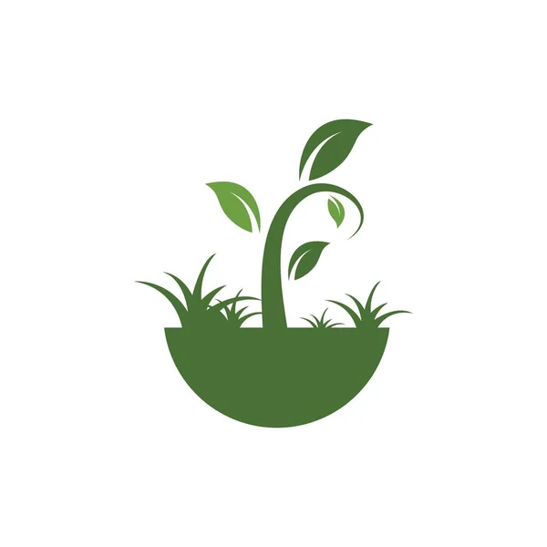 植物矢量图标图解设计 — 图库矢量图片
