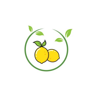 limon meyvesi illüstrasyon konsept tasarım şablonu