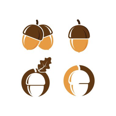 meşe palamudu vektör çizim şablonu