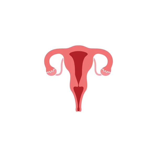 Female Reproduction Icon Vector Illustration Design Template — Stock Vector