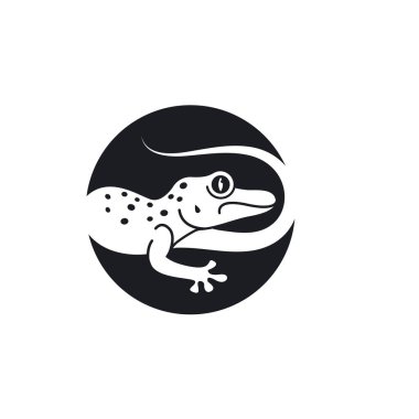 Gecko vektör resmetme şablonu