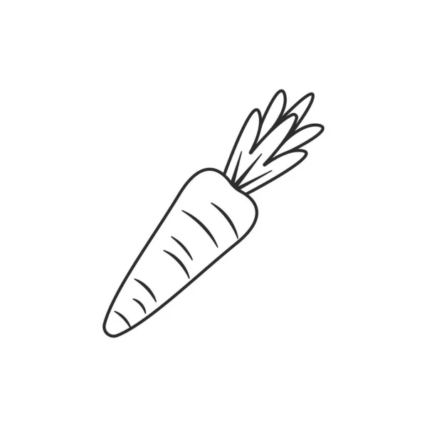 Морквяна Лінія Значок Векторні Ілюстрації Дизайн Шаблон Веб — стоковий вектор