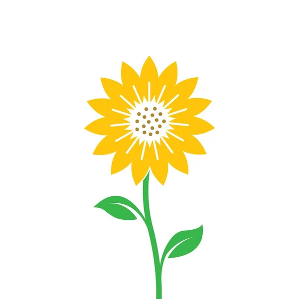 Sonnenblume Vektor Illustration Konzept Design Web — Stockvektor