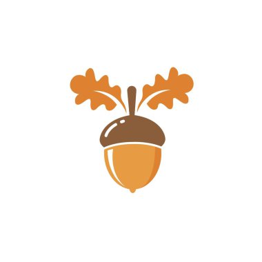 meşe palamudu vektör çizim şablonu