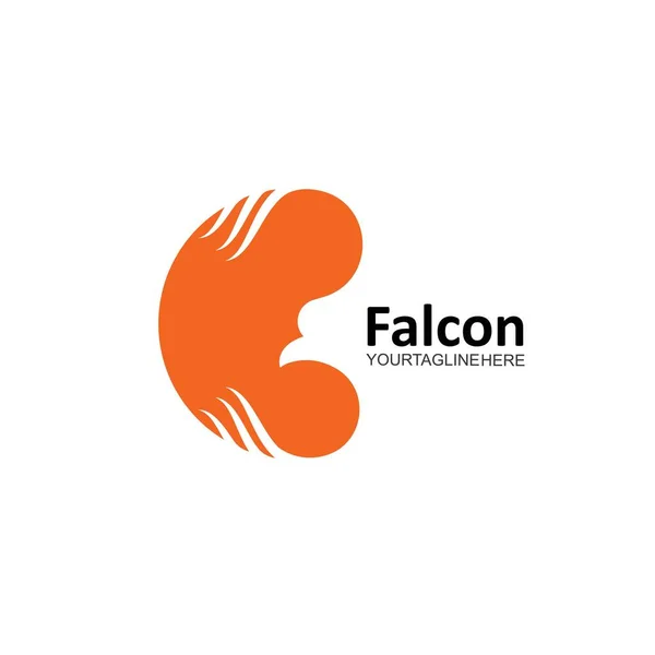 Abstrakte Falcon Eagle Bird Vorlage Vektorsymbol — Stockvektor