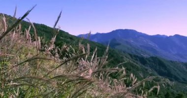 Tayvan Dağları, Daxueshan Dağları, Hehuan Dağları, Wuling Dağları, mavi gökyüzü ve beyaz bulutlar