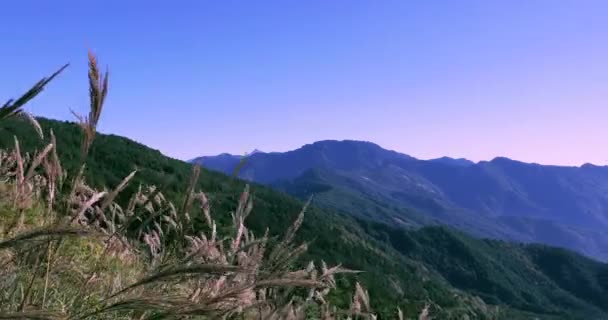 Taiwan Mountains Daxueshan Mountains Hehuan Mountains Wuling Mountains Blauwe Lucht — Stockvideo