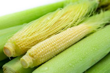 Beyaz arka planda fişten çekilmiş bebek mısırı ve bebek mısırı