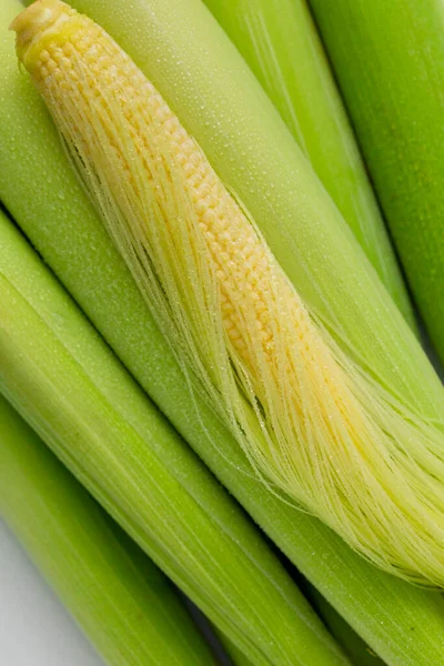 Unplugged Baby Corn Baby Corn White Background — Stock Photo, Image