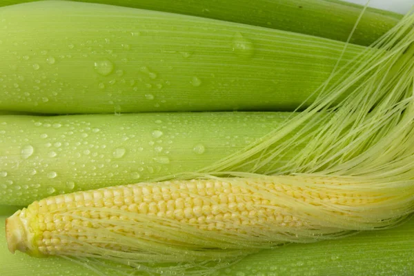 Unplugged Baby Corn Baby Corn White Background — Stock Photo, Image