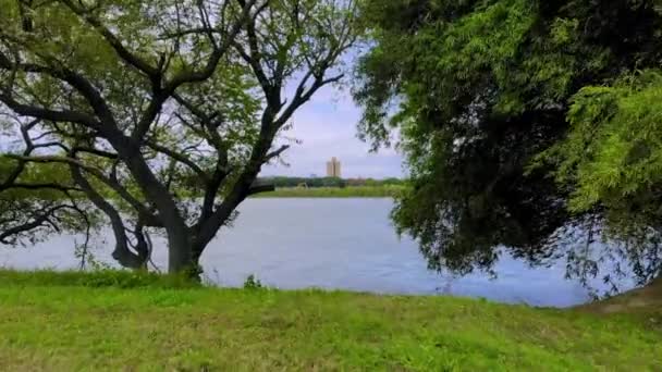 Taipei Tayvan Daki Keelung Riverside Parkı Nın Nehrin Yanındaki Çimlerin — Stok video