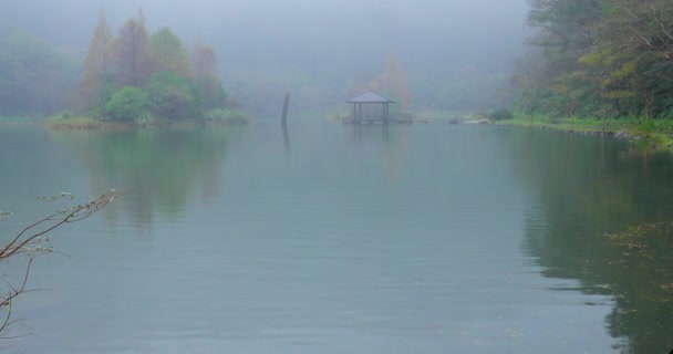 Yilan County Tajwan Narodowy Obszar Rekreacji Leśnej Poming Pool Deszczowy — Wideo stockowe