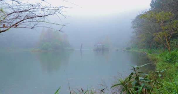 Yilan County Taiwan National Forest Recreation Area Poming Pool Regnig — Stockvideo