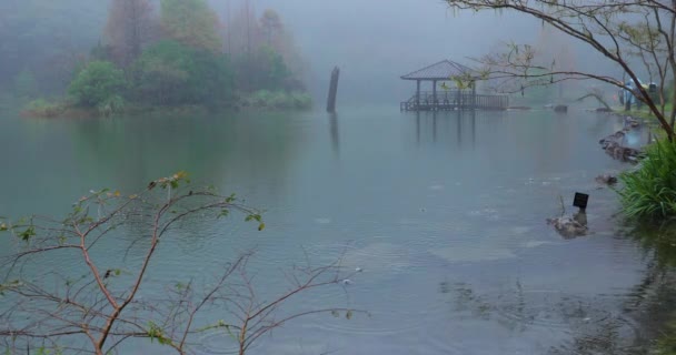Yilan County Tchaj Wan Národní Lesní Rekreační Oblast Poming Pool — Stock video