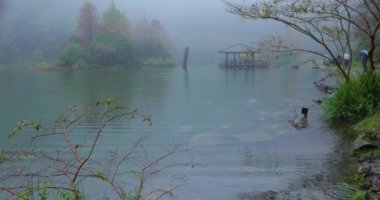 Yilan İlçesi, Tayvan, Ulusal Orman Dinlenme Alanı, Yağmurlu bir günde Poming Havuzu