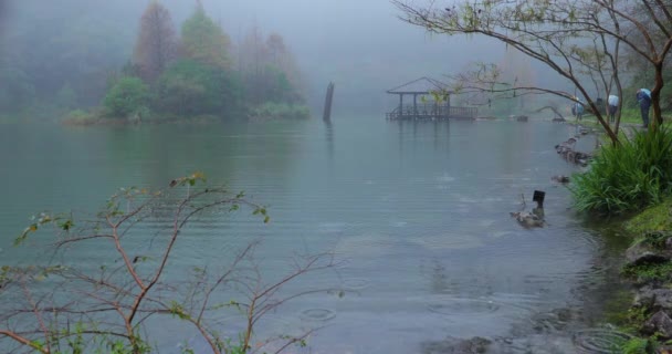 台湾宜兰县 国家森林游憩区 蒲明池雨天 — 图库视频影像