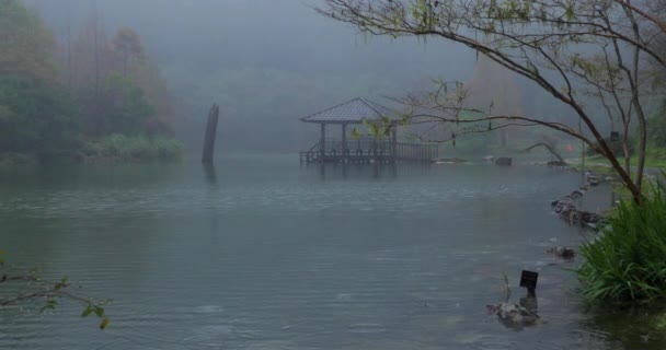 Yilan Megye Tajvan Nemzeti Erdészeti Szabadidős Terület Poming Pool Egy — Stock videók