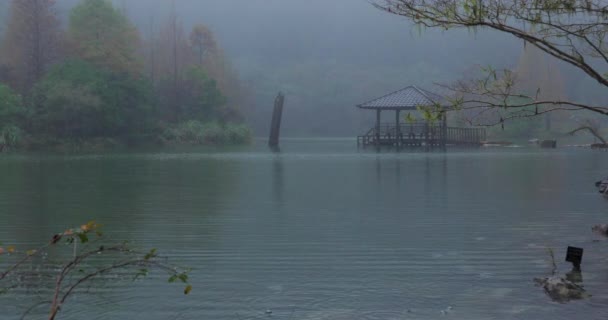 Contea Yilan Taiwan Area Ricreativa Forestale Nazionale Poming Pool Una — Video Stock