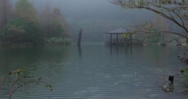 Yilan County Tajwan Narodowy Obszar Rekreacji Leśnej Poming Pool Deszczowy — Wideo stockowe