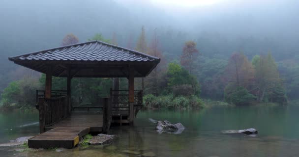 Yilan County National Forest Recreation Area Poming Pool Rain Day — 비디오