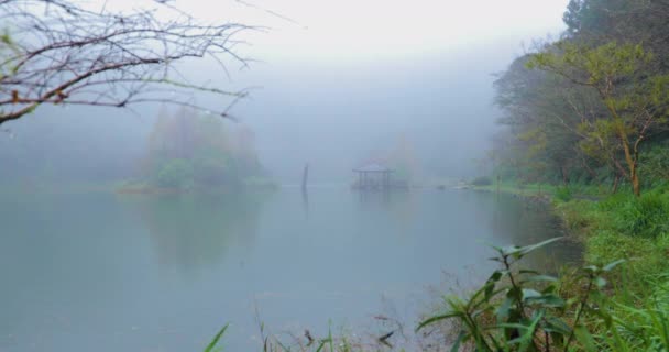 Pădurea Lacurile Montane Mingchi Județul Yilan Taiwan Este Atracție Turistică — Videoclip de stoc