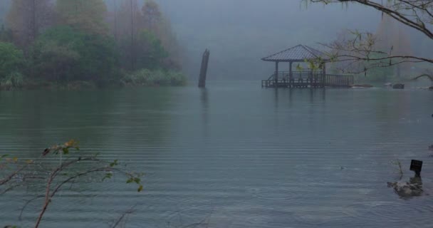Ліс Гірські Озера Мінгчі Округ Ілан Тайвань Відомою Туристичною Пам — стокове відео