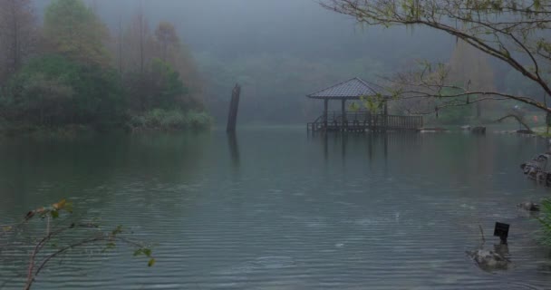 Bosque Los Lagos Montaña Mingchi Condado Yilan Taiwán Una Famosa — Vídeos de Stock