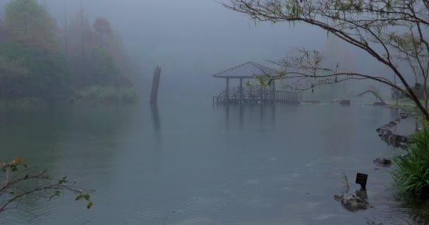 Forêt Les Lacs Montagne Mingchi Comté Yilan Taiwan Est Une — Video