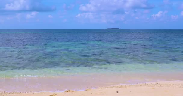 Ilha Tartaruga Praia Sandakan Sabah Bornéu Malásia — Vídeo de Stock