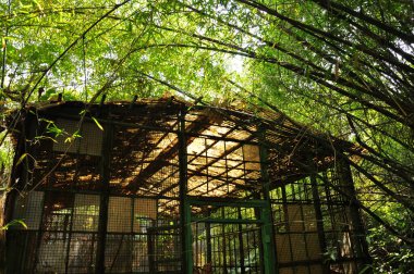 Terk Edilmiş Taipei Songshan Tütün Fabrikası, dağınık ve yıpranmış hayvan kafesleri