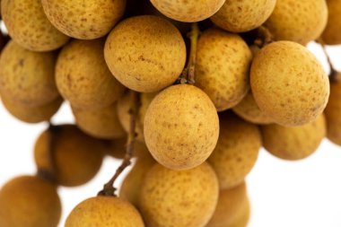 Meyve Krallığı, Tayvan, yaz meyvesi Dimocarpus Longan