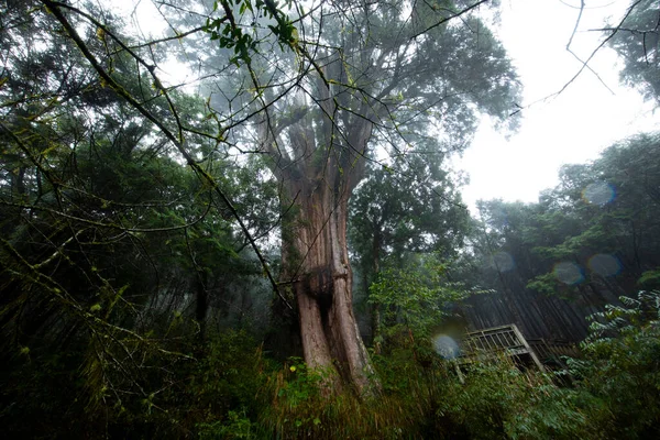 Qilan Maguao Shenmu Yilan County Taiwan Famous Tourist Attraction — ストック写真