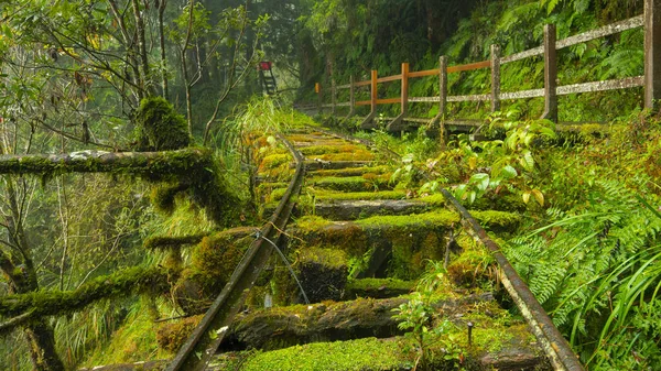 Taipingshan Jianqing Old Road Comté Yilan Taiwan Est Une Attraction — Photo