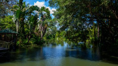 Güneydoğu Asya turizm merkezi, Sandakan, Sabah, Borneo, Malezya, iç nehir