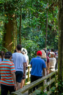 Güneydoğu Asya, Sandakan, Sabah, Borneo, Malezya 'da bir turizm merkezi olan Hayvan Koruma Parkı' ndaki turistler