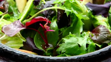 Vejetaryen sağlıklı yemek, sebze salatası.,