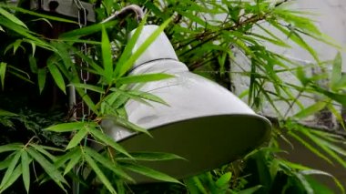 Yağmurlu bir gün, yağmur damlaları bambu yapraklarındaki bahçe ışıklarına çarpıyor.