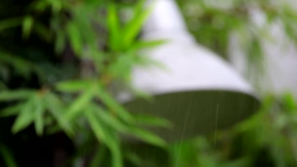 雨滴落在竹叶上的花园灯火上 — 图库视频影像