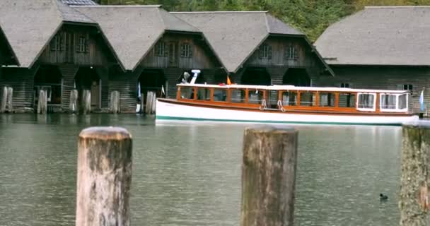 Німеччина Озеро Осінні Королі Дикі Качки Бавляться Озері — стокове відео