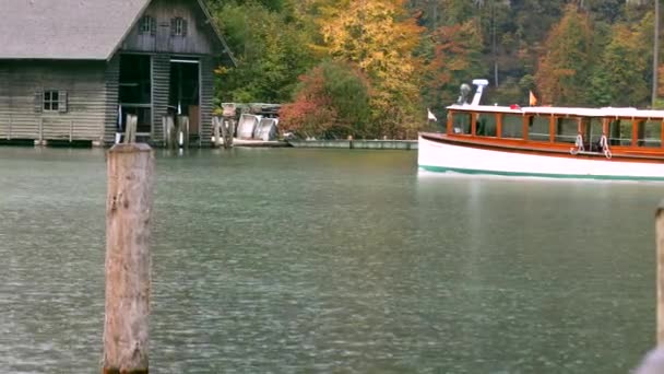 Germany Autumn Kings Lake Wild Ducks Playing Lake — Stok Video