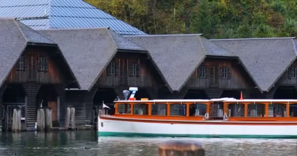 Germania Toamna Regilor Lac Rațe Sălbatice Joc Lac — Videoclip de stoc