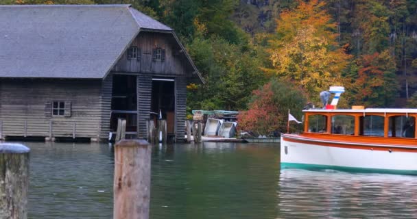 德国秋天的国王湖野鸭在湖中嬉戏 — 图库视频影像