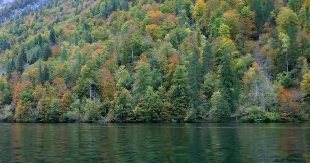 Hermoso Lago Knigssee Berchtesgaden Alemania Bosque Otoño Junto Lago — Vídeos de Stock